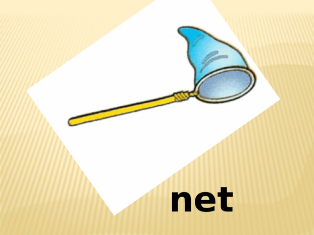 Вставка рисунка net