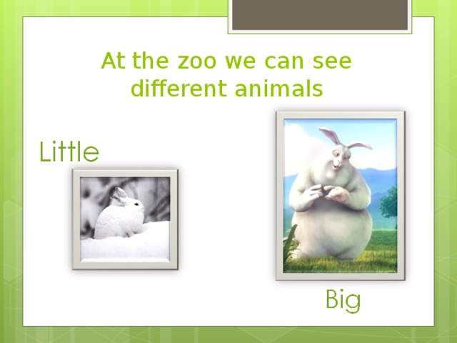 At the zoo we can see different animals