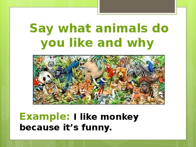 Say what animals do you like and why Example: I like monkey because it’s funny.