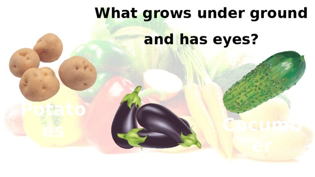 What grows under ground and has eyes? Potatoes Cucumber Aubegines