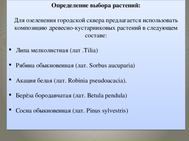 Определение выбора растений:  Для озеленения городской сквера предлагается использовать композицию древесно-кустарниковых растений в следующем составе: Липа мелколистная (лат .Tilia) Рябина обыкновенная (лат. Sorbus aucuparia) Акация белая (лат. Robinia pseudoacacia). Берёза бородавчатая (лат. Betula pendula) Сосна обыкновенная (лат. Pinus sylvestris)  