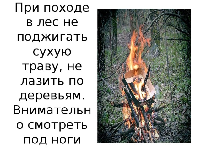 При походе в лес не поджигать сухую траву, не лазить по деревьям. Внимательно смотреть под ноги