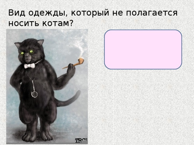 Вид одежды, который не полагается носить котам? штаны