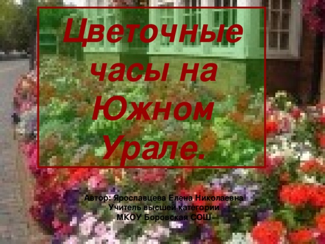 Цветочные часы на Южном Урале. Автор: Ярославцева Елена Николаевна Учитель высшей категории МКОУ Боровская СОШ