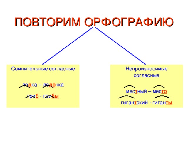 ПОВТОРИМ ОРФОГРАФИЮ Сомнительные согласные ло д ка – ло до чка гри б - гри бы Непроизносимые согласные мес т ный – мес то гиган т ский - гиган ты