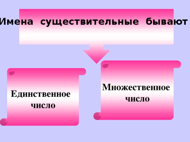 Имена существительные бывают  Множественное число Единственное число