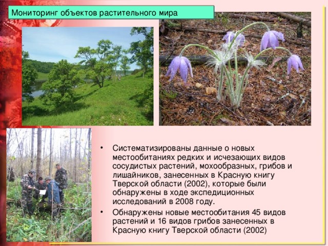 Мониторинг объектов растительного мира