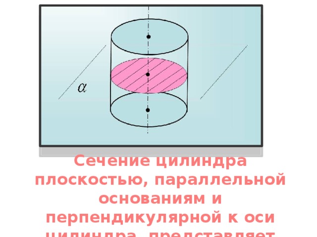 Сечение цилиндра плоскостью, параллельной основаниям и перпендикулярной к оси цилиндра, представляет собой круг.