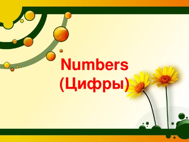 Numbers  (Цифры)