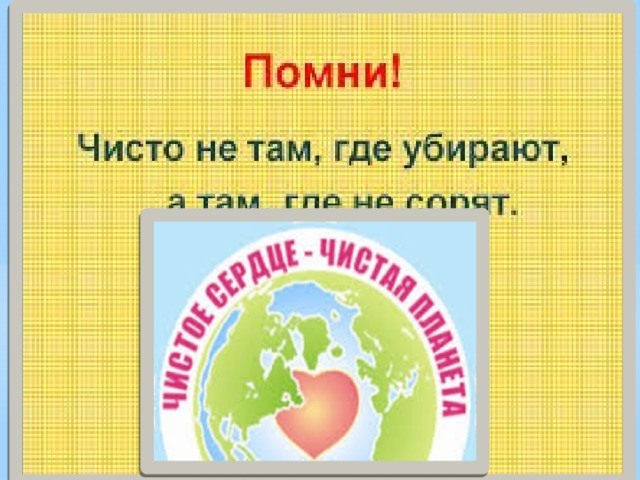 Проект чистый двор