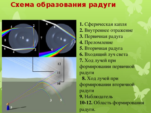 Схема образования радуги 1. Сферическая капля 2. Внутреннее отражение 3. Первичная радуга 4. Преломление 5. Вторичная радуга 6. Входящий луч света 7. Ход лучей при формировании первичной радуги 8. Ход лучей при формировании вторичной радуги 9. Наблюдатель 10-12. Область формирования радуги .