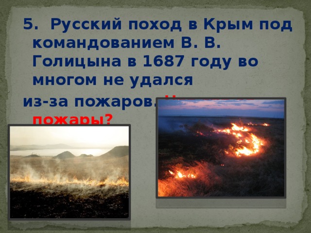 5.  Русский поход в Крым под командованием В. В. Голицына в 1687 году во многом не удался из-за пожаров. Что это за пожары?