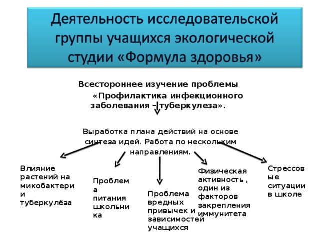 Всестороннее изучение проблемы  «Профилактика инфекционного заболевания – туберкулеза».      Выработка плана действий на основе  синтеза идей. Работа по нескольким  направлениям.   Влияние растений на микобактерии туберкулёза Стрессовые ситуации в школе Физическая активность , один из факторов закрепления иммунитета Проблема питания школьника Проблема вредных привычек и зависимостей учащихся