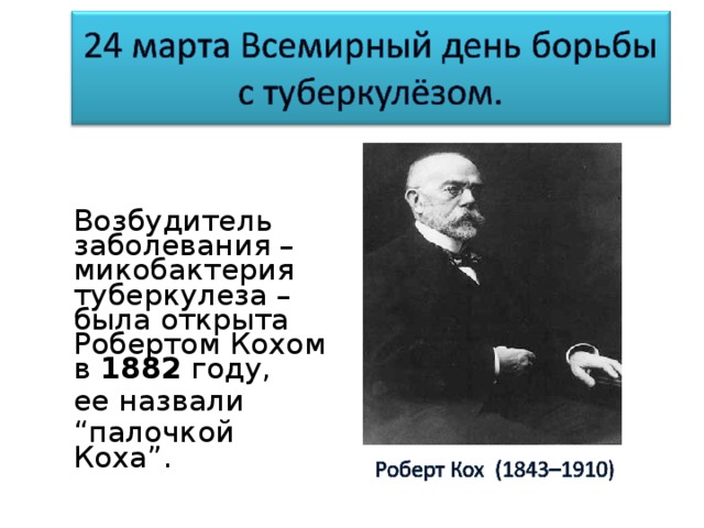 Возбудитель заболевания – микобактерия туберкулеза – была открыта Робертом Кохом в 1882 году, ее назвали “ палочкой Коха”.