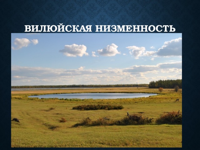 Северо сибирская низменность фото