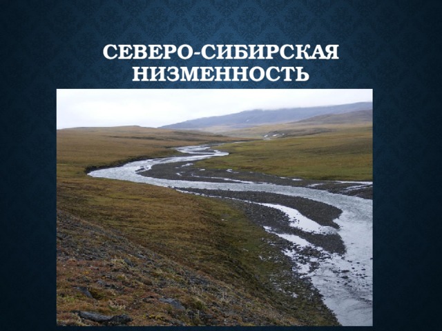 Северо-Сибирская низменность Западная Сибирь. Рельеф Северо-сибирской низменности. Северомибирская низменность.