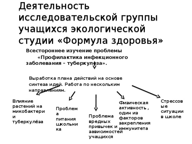 Деятельность исследовательской группы учащихся экологической студии «Формула здоровья» Всестороннее изучение проблемы  «Профилактика инфекционного заболевания – туберкулеза».      Выработка плана действий на основе  синтеза идей. Работа по нескольким  направлениям.     Влияние растений на Стрессовые ситуации в школе микобактерии туберкулёза Физическая активность , один из факторов закрепления иммунитета Проблема питания школьника Проблема вредных привычек и зависимостей учащихся