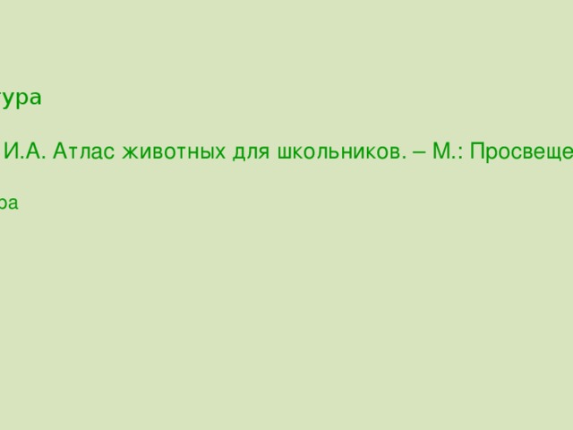 Жираф, или жирафа , - африканское животное. Это самый высокий зверь на планете.  Его рост достигает 6 м.  Длинные ноги и шея позволяют жирафу дотягиваться до листьев деревьев и кустарников, недоступных другим копытным.  Живут жирафы в саваннах. Это очень чуткие животные, обладают прекрасным слухом и зрением. В случае опасности немедленно обращаются в бегство, несмотря  на свои непропорциональные размеры, развивая большую скорость.  Главными врагами жирафов являются львы.  На молодых особей иногда охотятся леопарды. Держаться группами, состоящими из одного самца и нескольких самок с детёнышами. Длинная шея – хороший помощник в добывании пищи, но чтобы напиться воды, жирафу приходится широко расставлять ноги  и медленно наклонять голову. Маму и других родственников жираф узнаёт по узору пятен на шкуре. Этот узор заменяет ему адрес. Зная его, маленький жираф всегда отыщет свою семью и не потеряется.   1