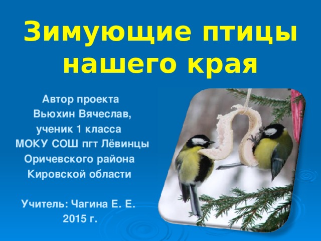Зимующие птицы нашего края  Автор проекта  Вьюхин Вячеслав,  ученик 1 класса  МОКУ СОШ пгт Лёвинцы  Оричевского района  Кировской области   Учитель: Чагина Е. Е.  2015 г.