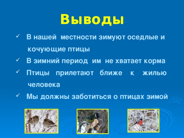 Птицы вывод