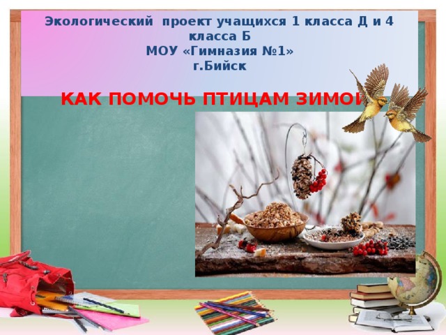 Экологический проект учащихся 1 класса Д и 4 класса Б МОУ «Гимназия №1» г.Бийск  КАК ПОМОЧЬ ПТИЦАМ ЗИМОЙ?