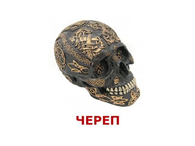 ЧЕРЕП