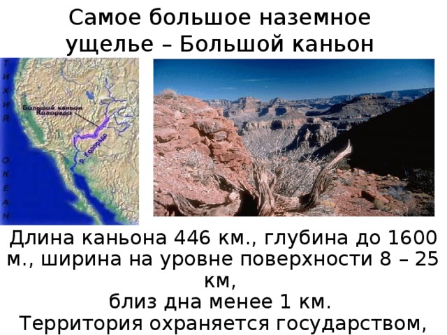 Самое большое наземное ущелье – Большой каньон Колорадо Длина каньона 446 км., глубина до 1600 м., ширина на уровне поверхности 8 – 25 км, близ дна менее 1 км. Территория охраняется государством, здесь находится национальный парк Гранд-Каньон.