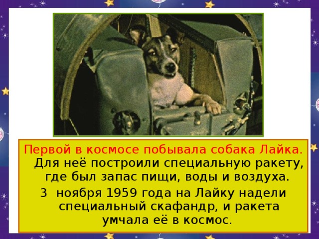 Первой в космосе побывала собака Лайка. Для неё построили специальную ракету, где был запас пищи, воды и воздуха. 3 ноября 1959 года на Лайку надели специальный скафандр, и ракета умчала её в космос.