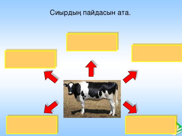 Сиырдың пайдасын ата. Нежность