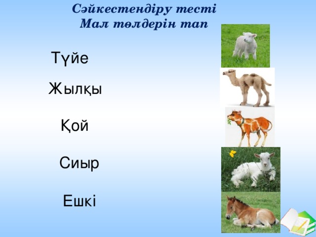 Сәйкестендіру тесті Мал төлдерін тап Түйе Жылқы Қой Сиыр Ешкі