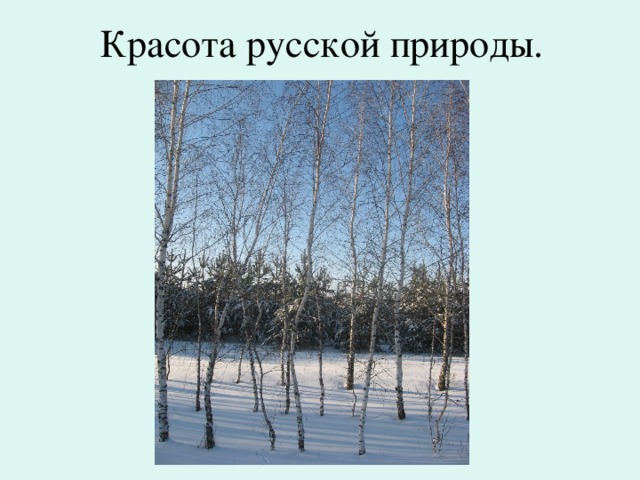 Красота русской природы.