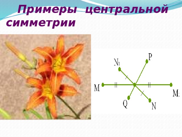 Примеры центральной симметрии