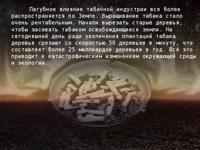 Пагубное влияние табачной индустрии все более распространяется по Земле. Выращивание табака стало очень рентабельным. Начали вырезать старые деревья, чтобы засевать табаком освобождающиеся земли. На сегодняшний день ради увеличения плантаций табака деревья срезают со скоростью 50 деревьев в минуту, что составляет более 25 миллиардов деревьев в год. Всё это приводит к катастрофическим изменениям окружающей среды и экологии.