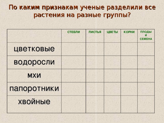 По каким признакам ученые разделили все растения на разные группы? СТЕБЛИ цветковые ЛИСТЬЯ водоросли ЦВЕТЫ мхи КОРНИ папоротники ПЛОДЫ И СЕМЕНА хвойные