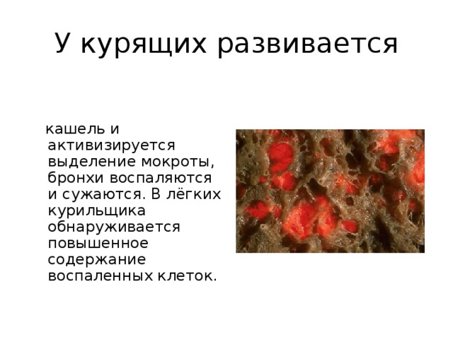 У курящих развивается  кашель и активизируется выделение мокроты, бронхи воспаляются и сужаются. В лёгких курильщика обнаруживается повышенное содержание воспаленных клеток.