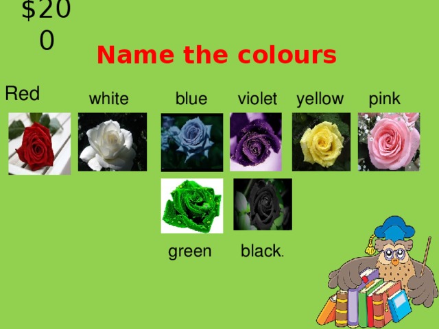 $200 Name the colours  Red pink yellow violet blue white green black .