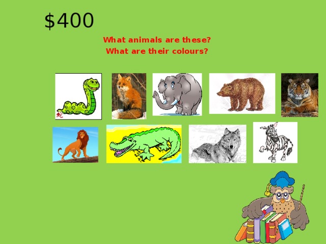 $400 What animals are these? What are their colours?