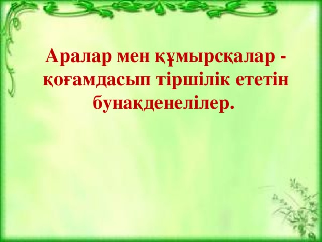 Аралар мен құмырсқалар - қоғамдасып тіршілік ететін бунақденелілер.