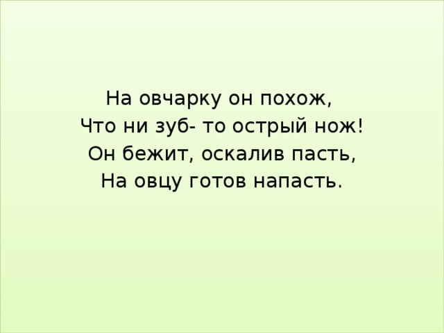 На овчарку он похож, Что ни зуб- то острый нож! Он бежит, оскалив пасть, На овцу готов напасть.