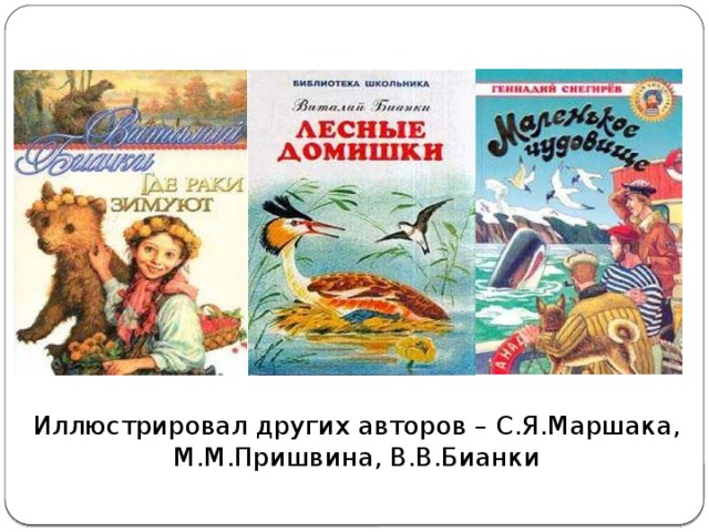 Иллюстрировал других авторов – С.Я.Маршака, М.М.Пришвина, В.В.Бианки