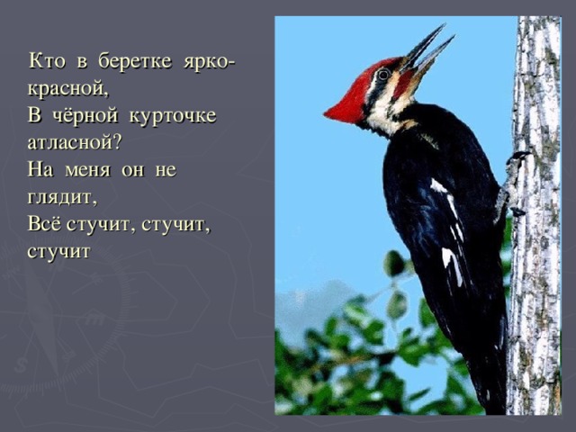 Кто в беретке ярко-красной,  В чёрной курточке атласной?  На меня он не глядит,  Всё стучит, стучит, стучит