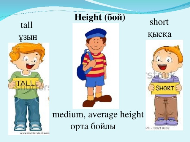 Height (бой) short  tall қысқа   ұзын medium, average height орта бойлы