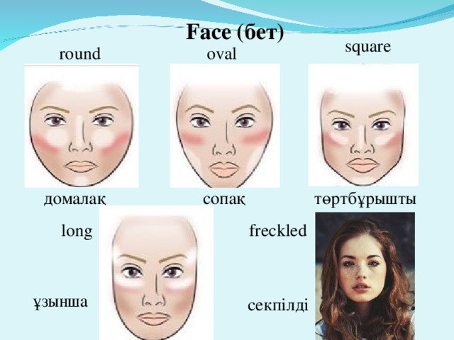 Face (бет) square round oval домалақ сопақ  төртбұрышты long freckled ұзынша секпілді