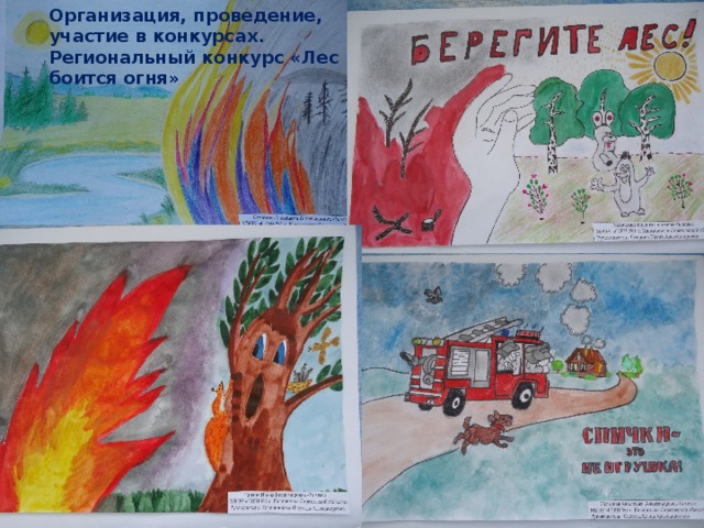 Организация, проведение, участие в конкурсах. Региональный конкурс «Лес боится огня»