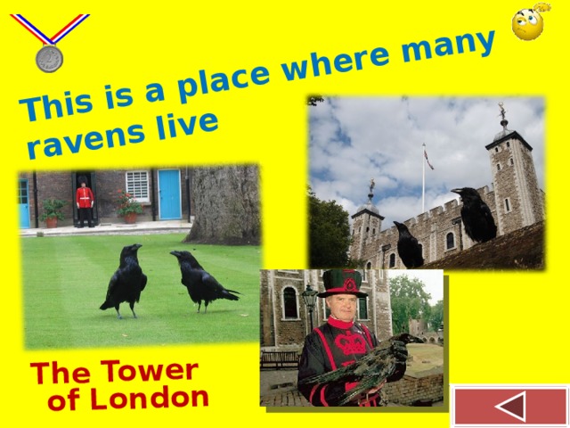This is a place where many ravens live  The Tower of London