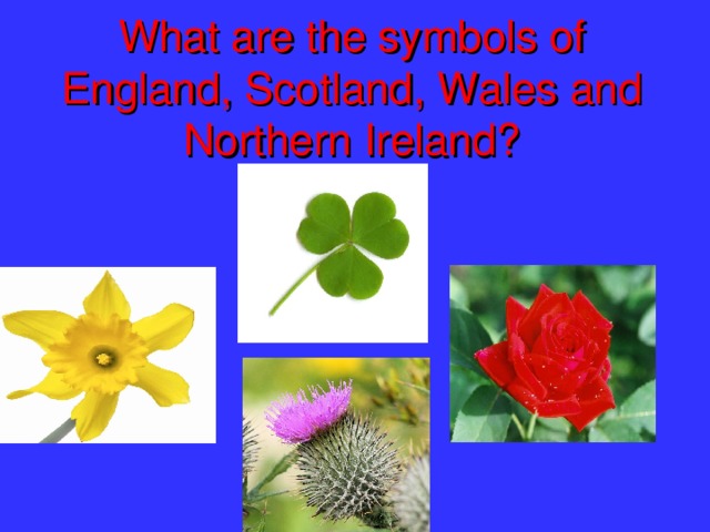 What are the symbols of England, Scotland, Wales and Northern Ireland?