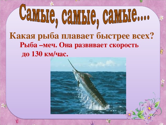 Какая рыба плавает быстрее всех? Рыба –меч. Она развивает скорость  до 130 км/час.
