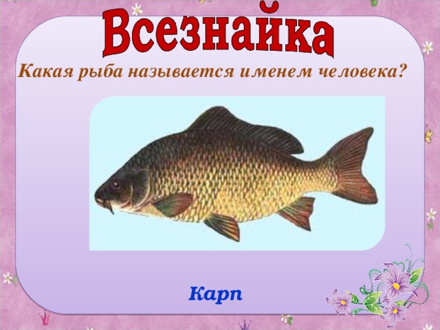 Какая рыба называется именем человека? Карп