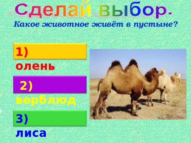Какое животное живёт в пустыне? 1) олень  2) верблюд 3) лиса