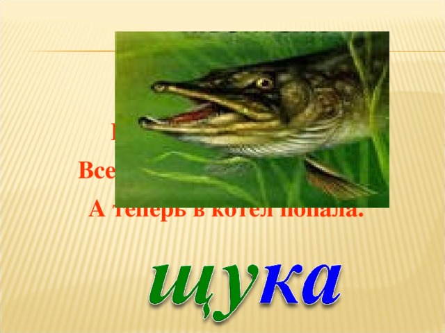 У неё во рту пила, Под водой она жила. Всех пугала, всех глотала, А теперь в котёл попала.